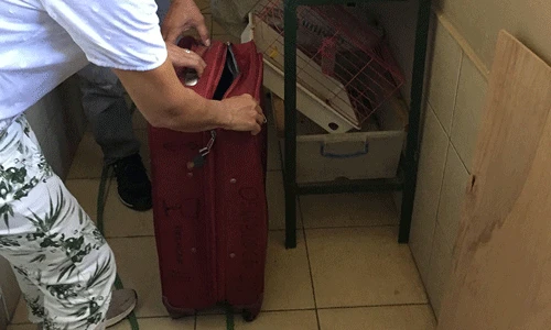 U koferu u Antaliji pronđen udav od 2,2 metra