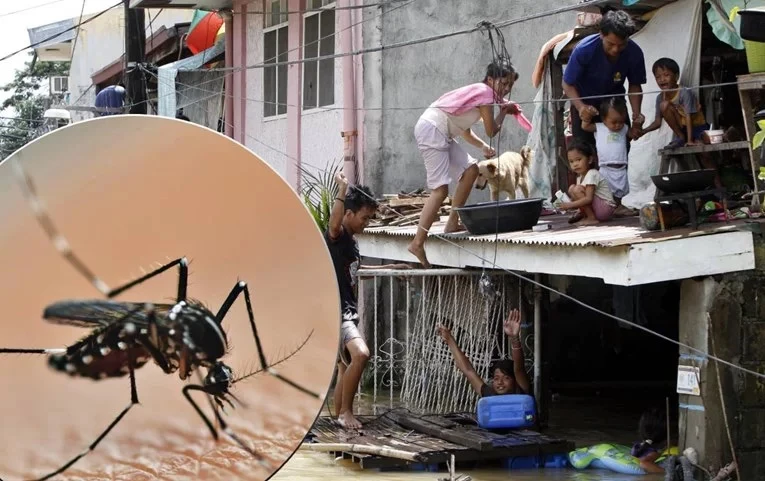 600 mrtvih: Denga groznica hara Filipinima