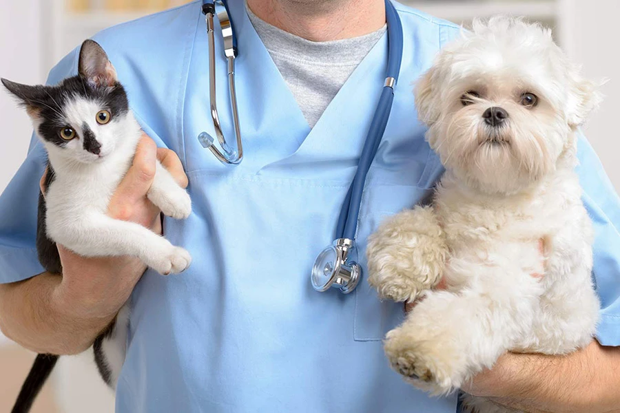 Tomislavgrad: Veterinarima potreban novi objekt i novi kadar