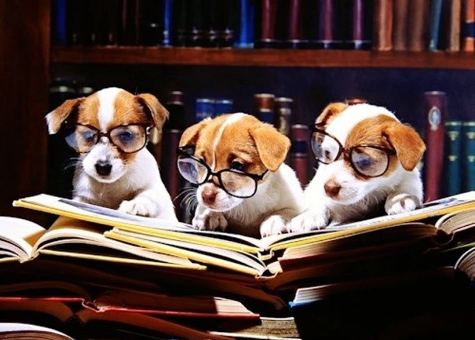 Veterinari upozoravaju na nelegalno imenovanje u ministarstvu
