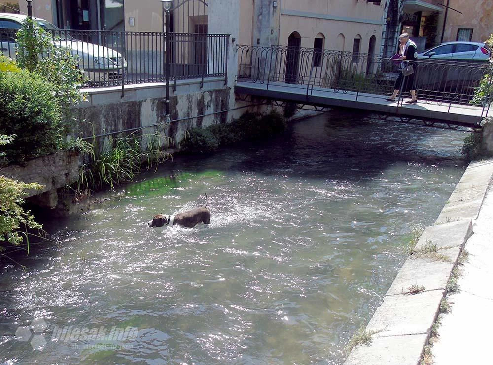 Dobro jutro, Mostar, na 28 stupnjeva