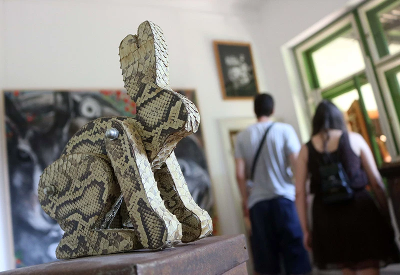 Zečji muzej kao adut za prijestolnicu kulture 