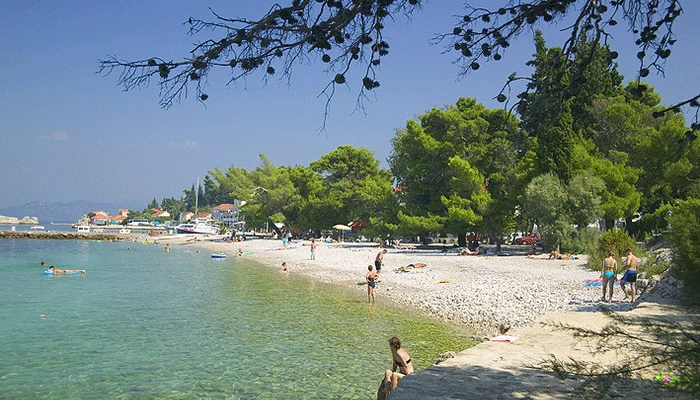 Ležaljka uz palmu na plaži na Pelješcu triput skuplja: To je palmset