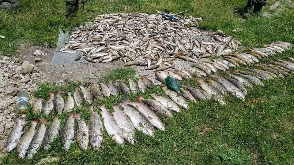 Ekološki incident u Ćehotini; razlog uginule ribe još nepoznat