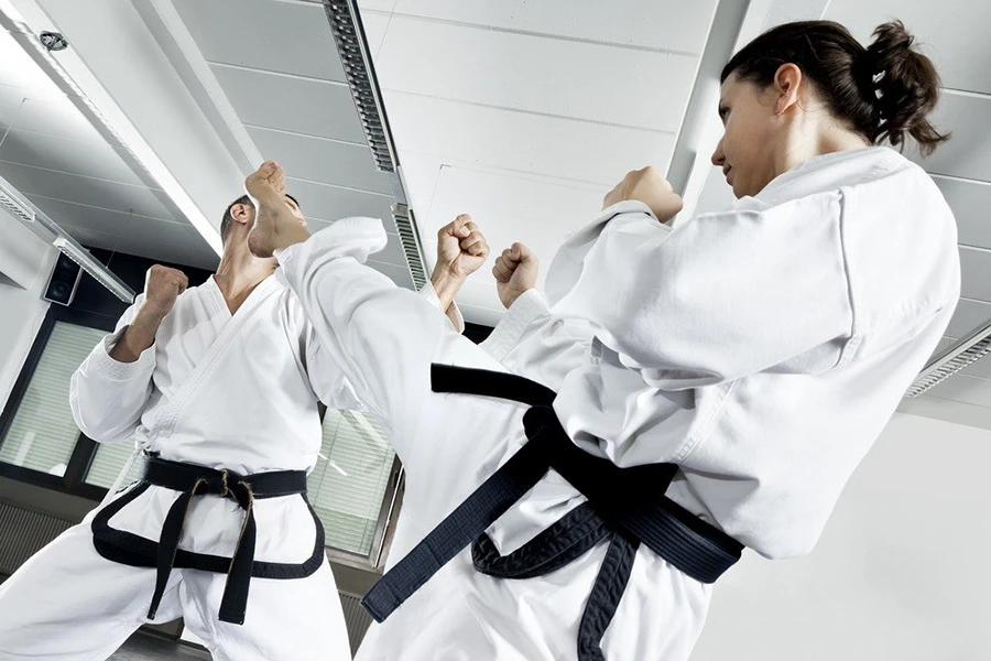 Karate u Mostaru: Policajca napala vijećnica iz Čapljine
