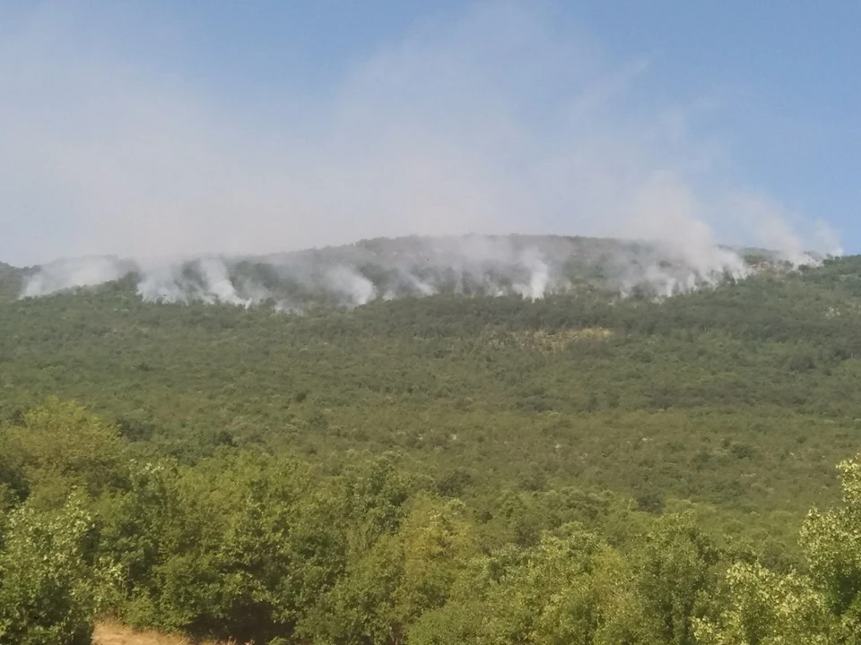 Varnica sa elektro stupa izazvala požar kod Bileće 