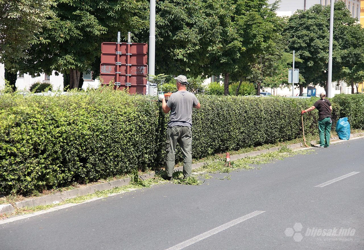 U moru sivila i smeća, jedna 'zelenija' strana grada