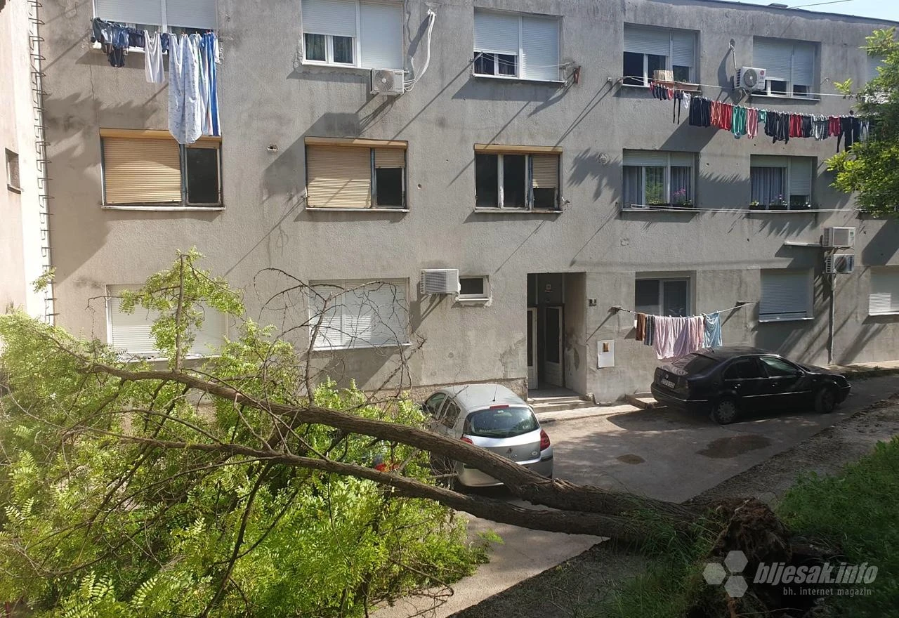Stablo se 'uparkiralo' na parking