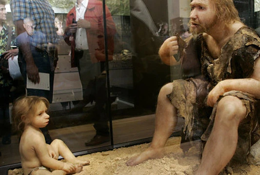 Neandertalci izumrli zbog pada fertiliteta?