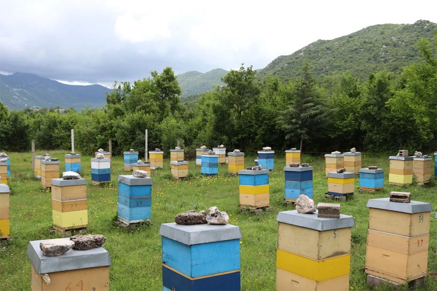 Ljubinje, grad meda i ljekovitog bilja