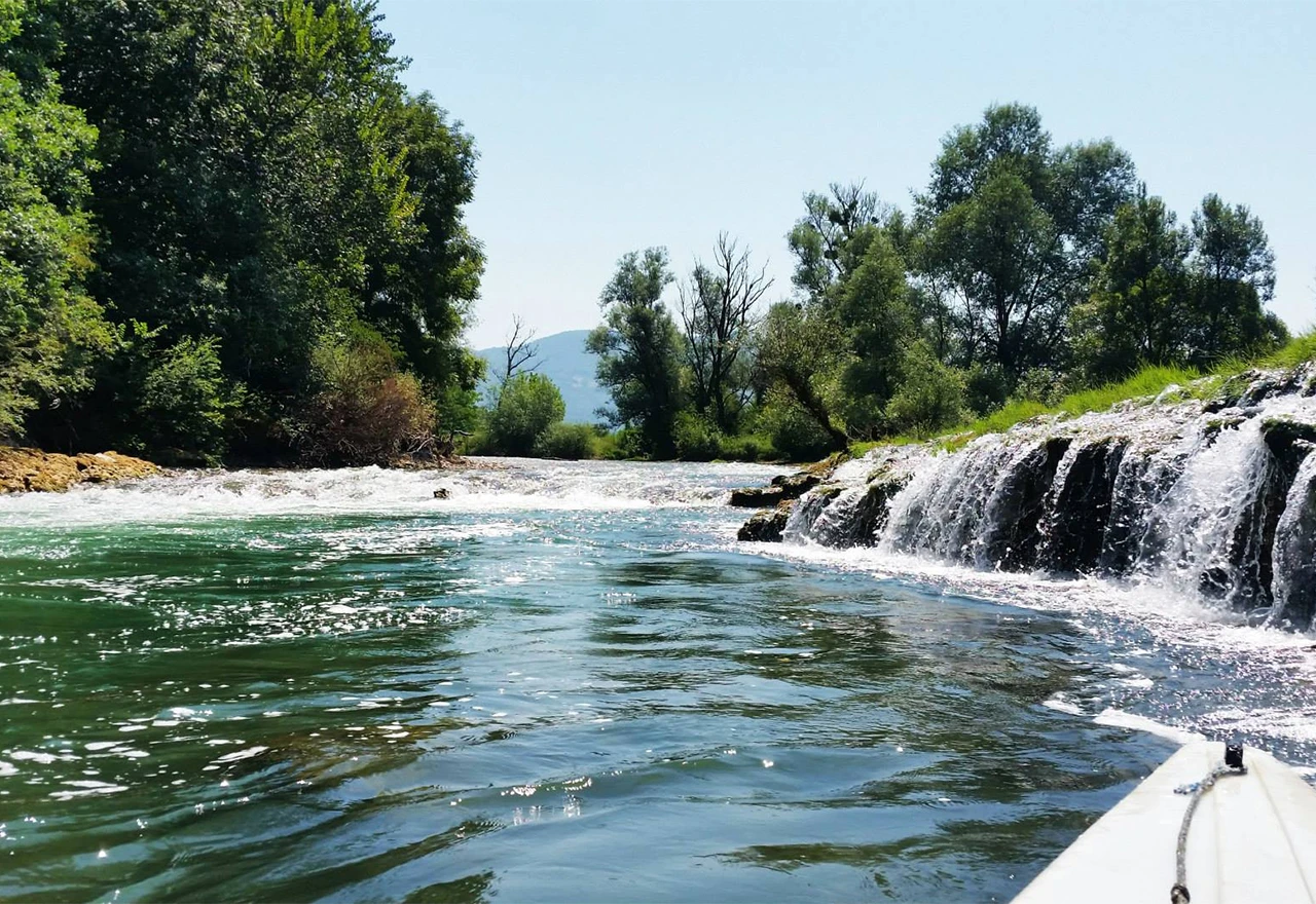 WWF Adria: Zaštitimo rijeke! 