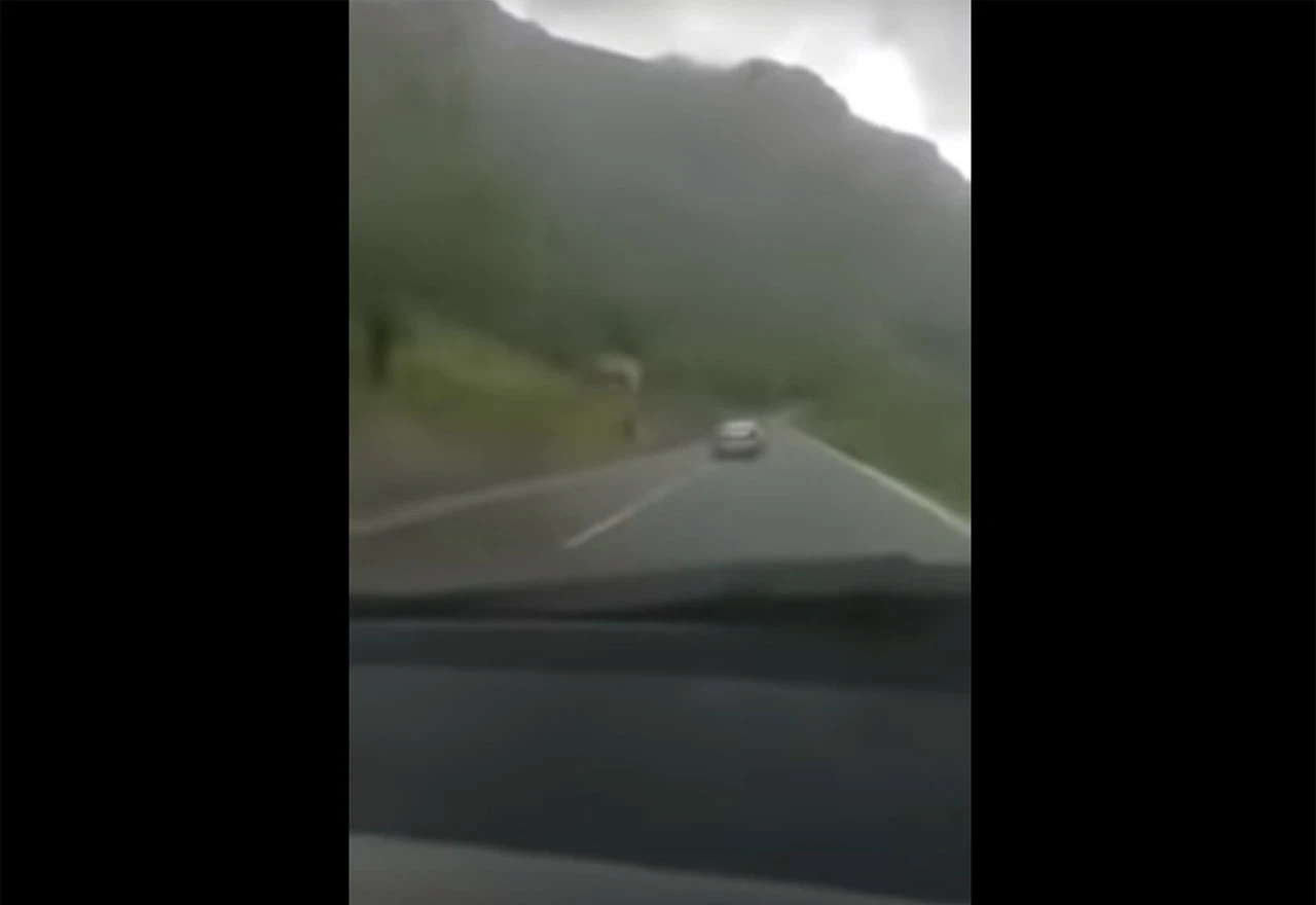 Svakakva stoka može u eter