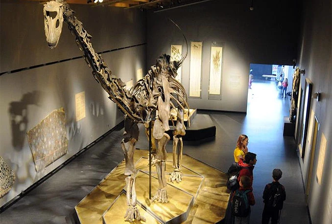 Stjenice su preživjele izumiranje dinosaura