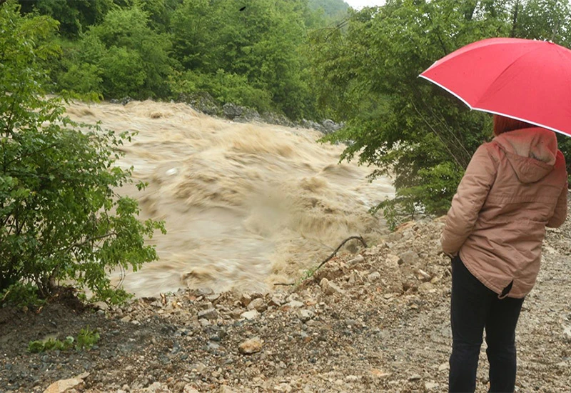 Sječa je glavni krivac za poplave
