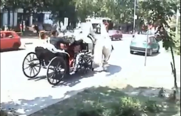 Snimka koja je nasmijala Balkan: 'Drži se, mlada'
