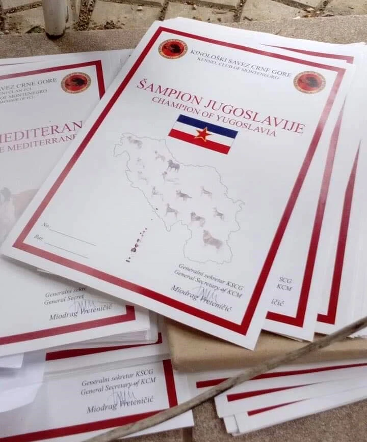 Crnogorci zavadili kinologe iz Hercegovine   