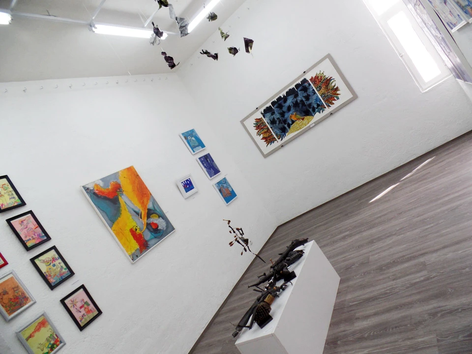 Otvorena privatna neprofitabilna nv galerija