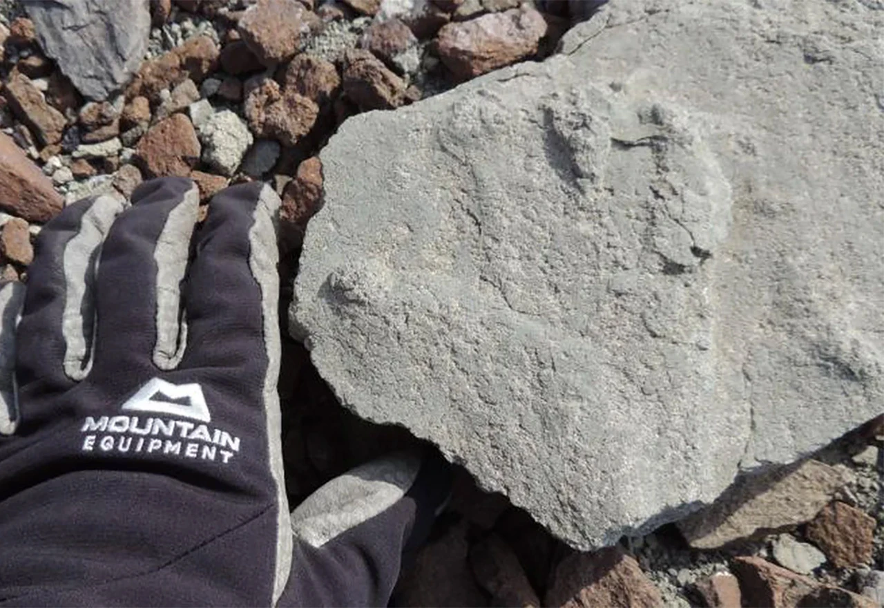Otkriven otisak dinosaura star 200 milijuna godina