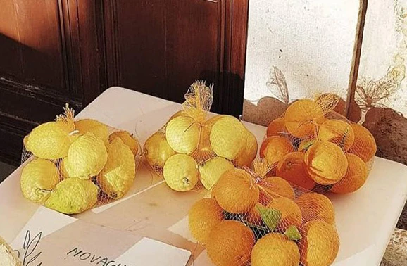 Fotografija prodaje voća u Dalmaciji hit na internetu