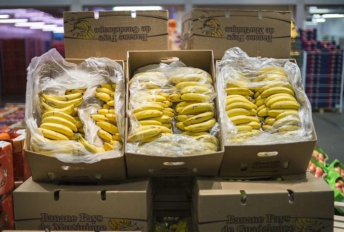 Pronađen kokain u bananama