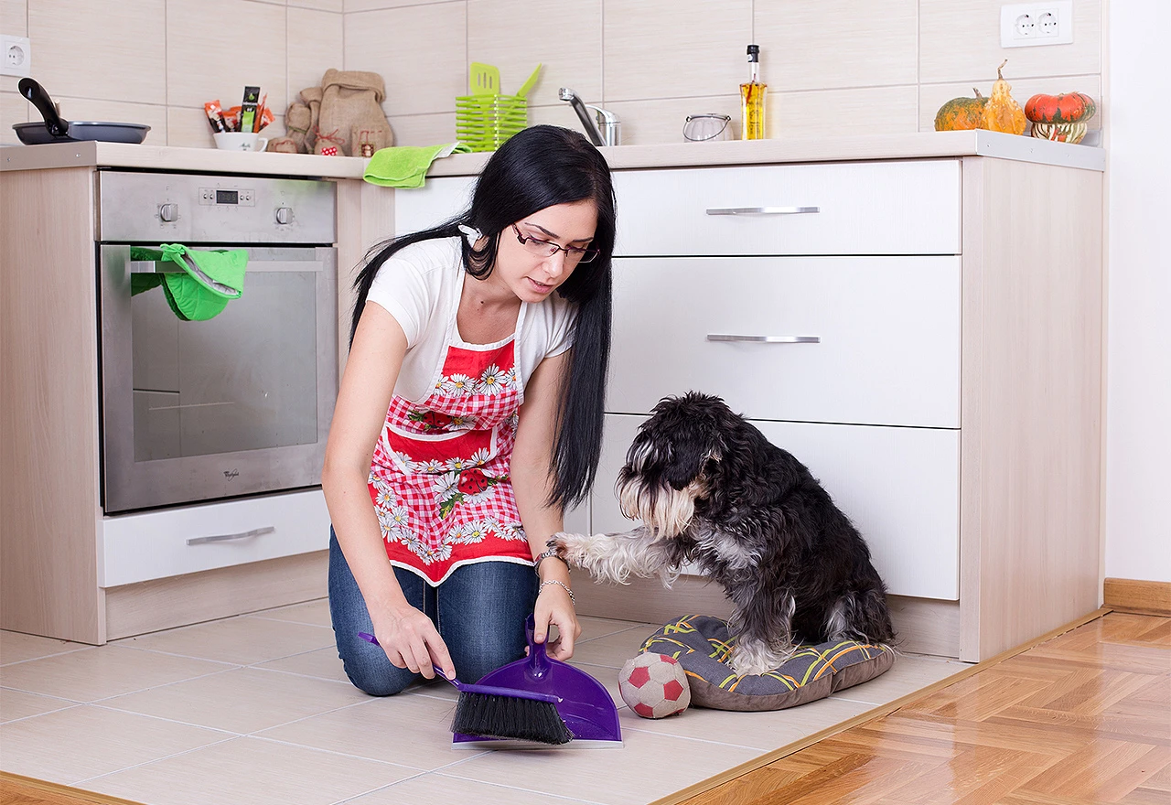 Dogs Trust edukaciju u Mostaru pomjerio na novi datum