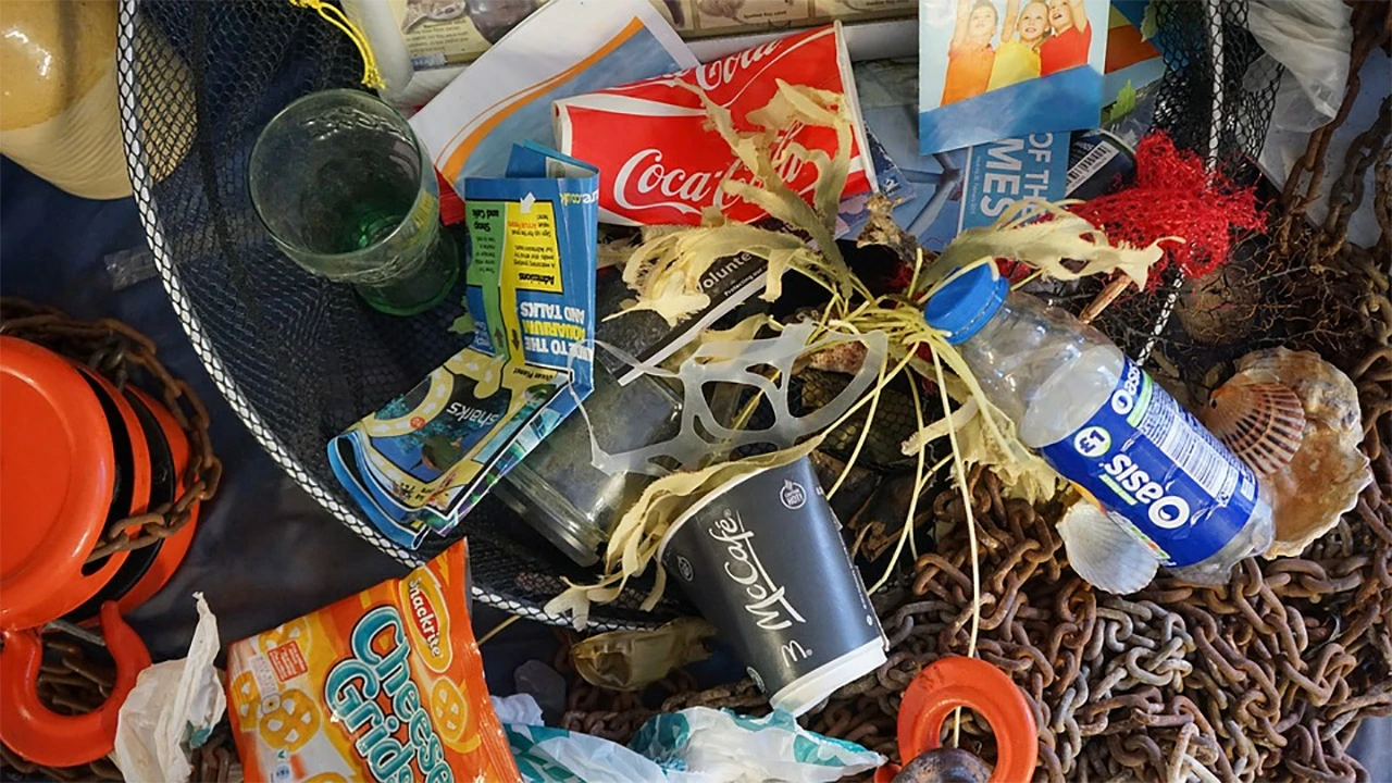EU zabranjuje plastiku za jednokratnu upotrebu