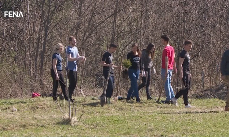 Studenti u Bihaću zasadili 100 sadnica drveća