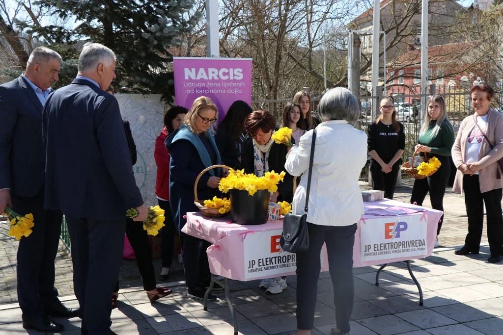 'Dan narcisa' u Širokom Brijegu