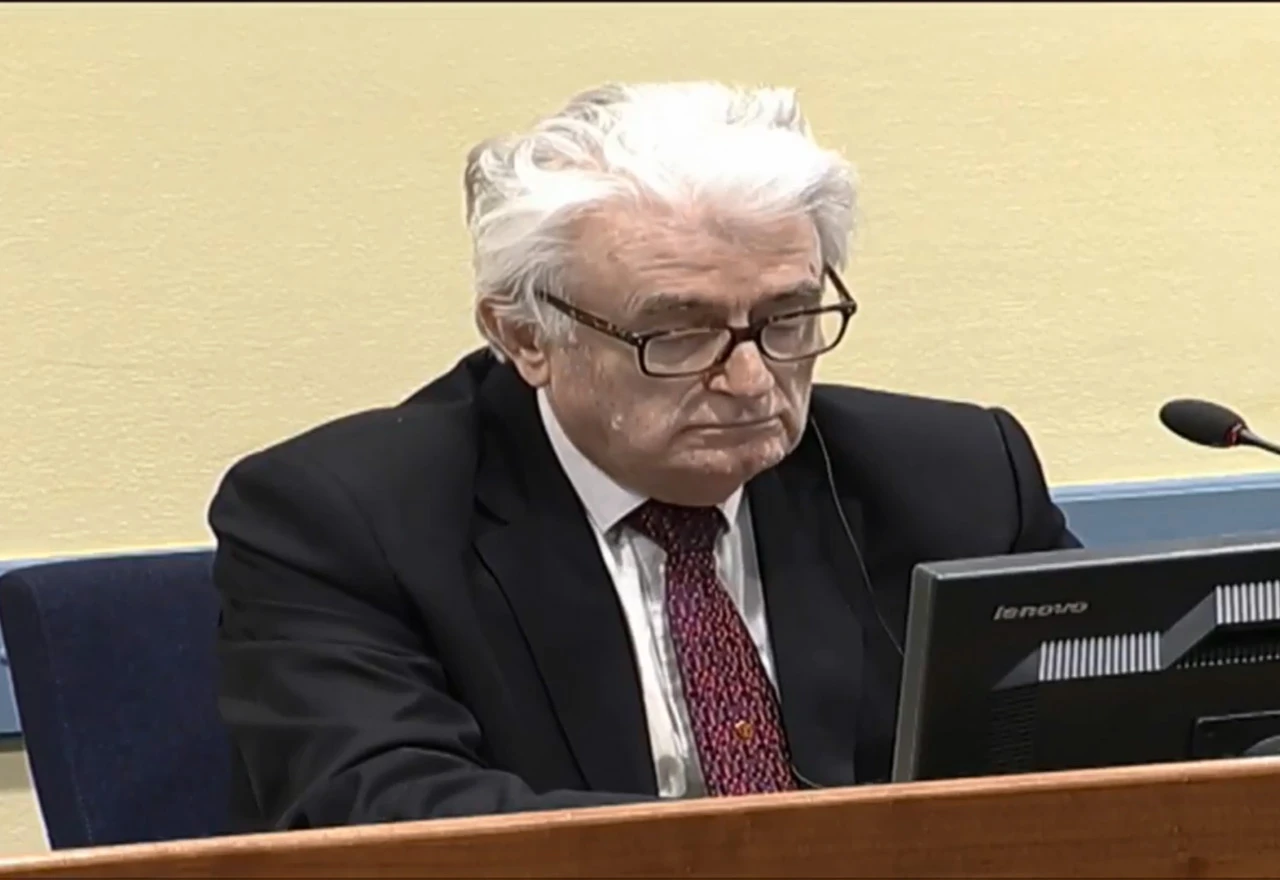 Prve reakcije na današnju presudu Radovanu Karadžiću