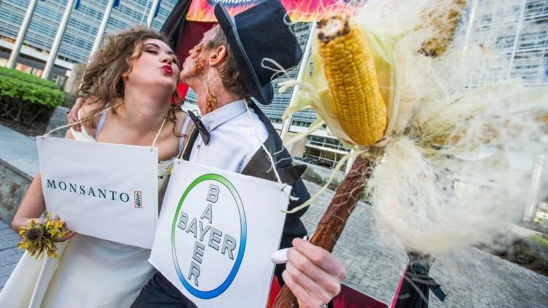 Američki sud zaključio: Monsantov ‘ubojica korova’  izaziva rak