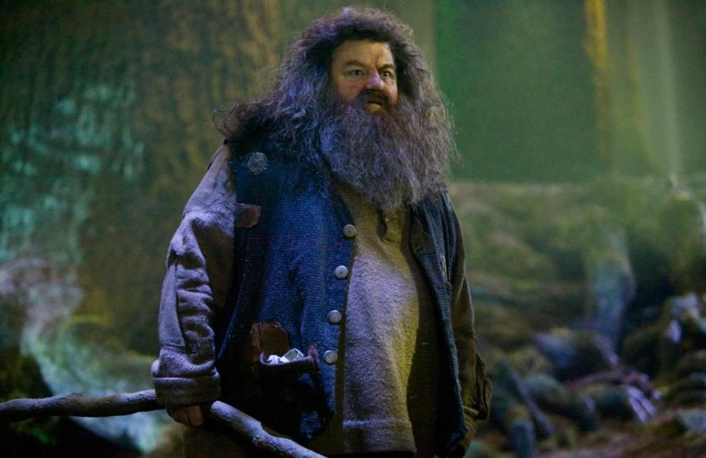 Popularni Hagrid iz Harryja Pottera pao u invalidska kolica