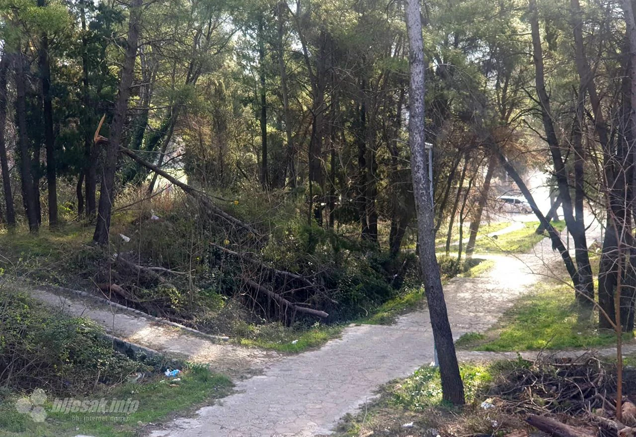 Pluća grada prestaju disati