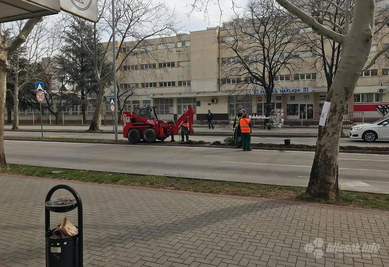Stiže li zelenilo na zapušteni mostarski otok?