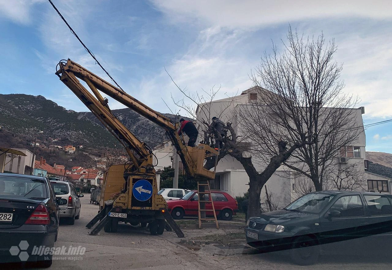 Uređivanje stabala u Mostaru
