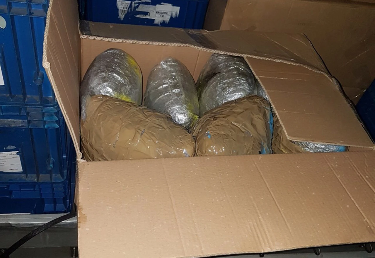 U akciji 'LIM' zaplijenjeno više od 25 kilograma 'skunka'