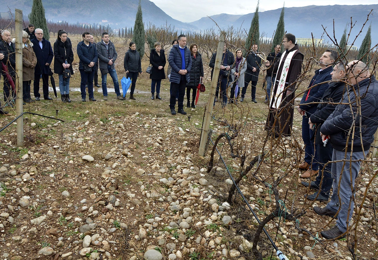 Tomić: Sveučilište u Mostaru ulazi u proizvodnju eko-hrane