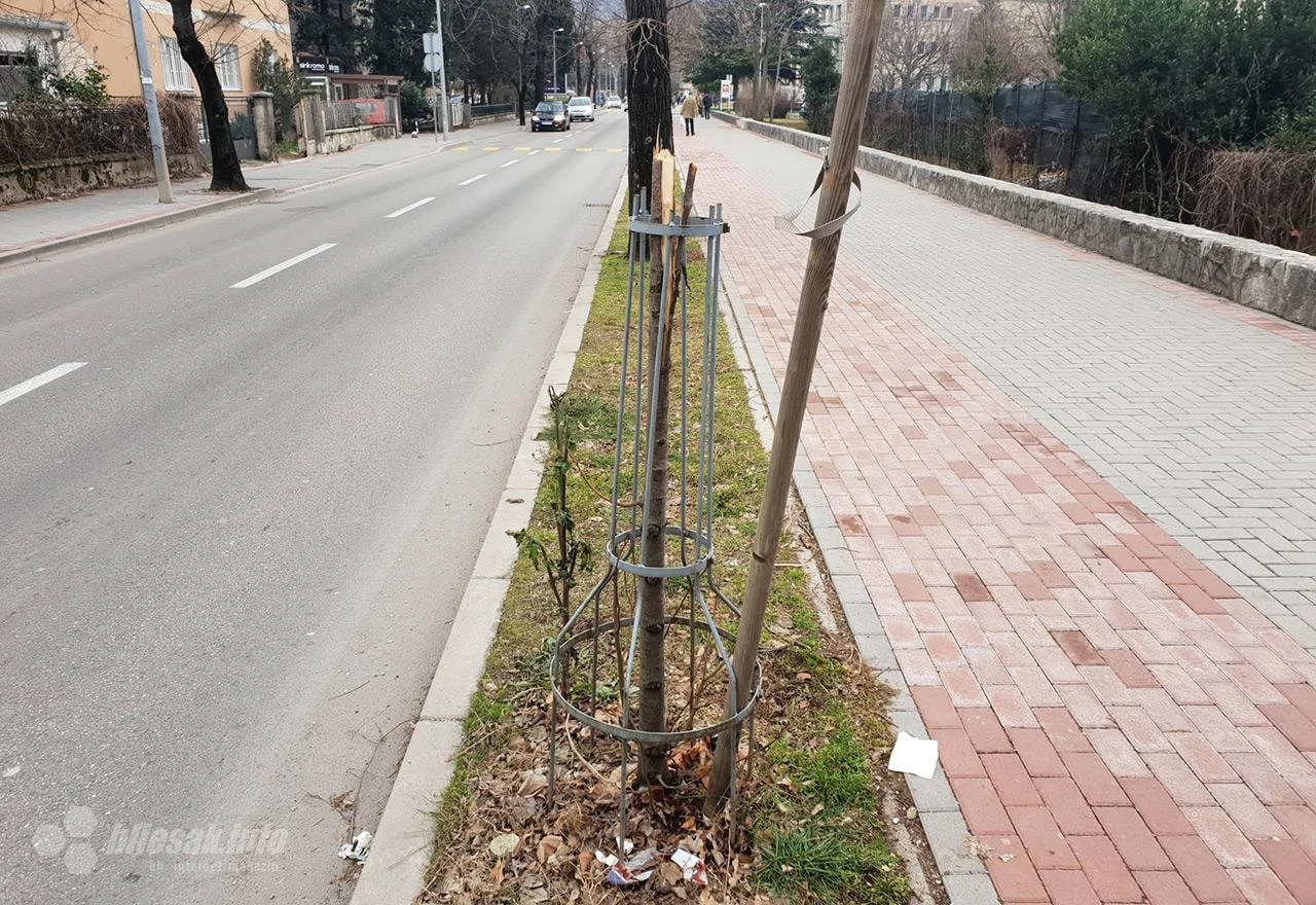 Mostarski mišići u akciji