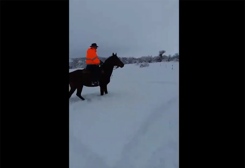 Mostarski život na sjeveru