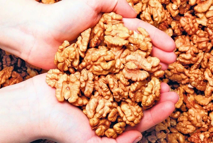Orašastim plodovima protiv viška kilograma