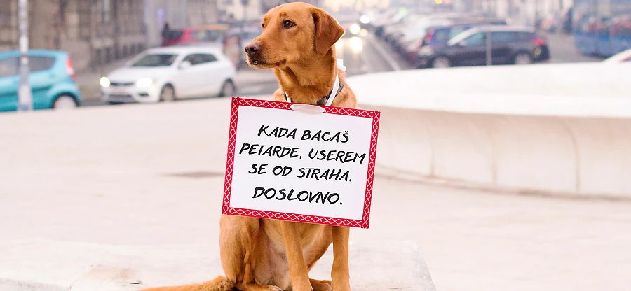 Zaštitite psa od petardi