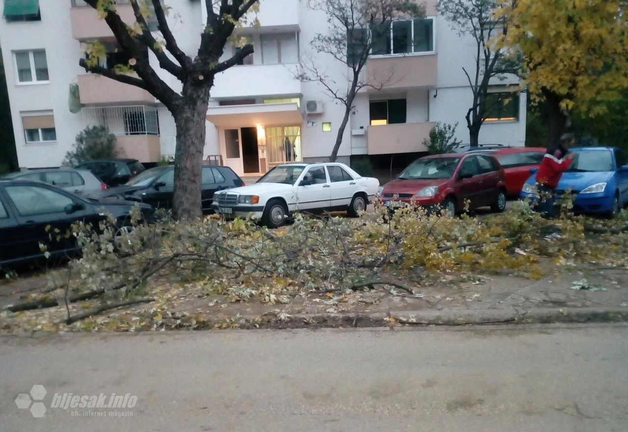 Naša posla: Ispilali stabla i granje pa sve ostavili na ulici