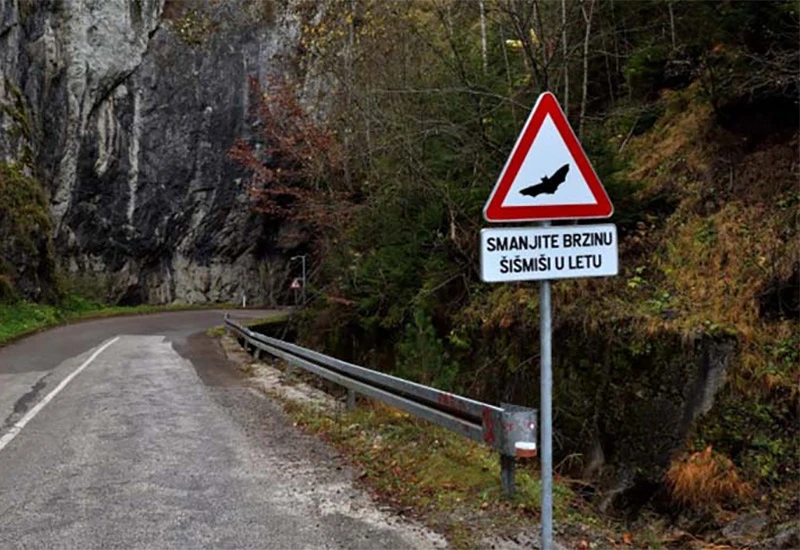 BiH prva na svijetu dobila znak koji upozorava na šišmiše