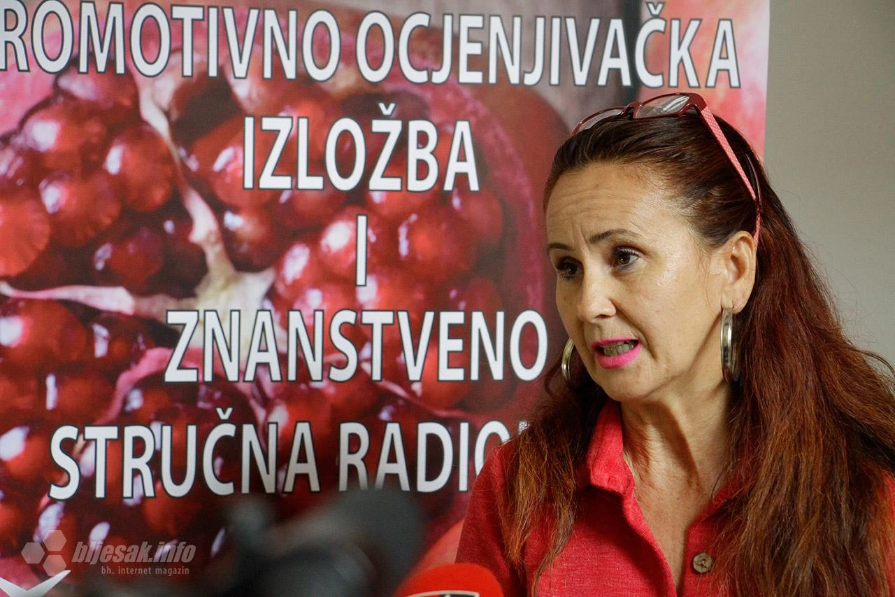 Šipak u Hercegovini: Perspektivna grana u koju vrijedi ulagati