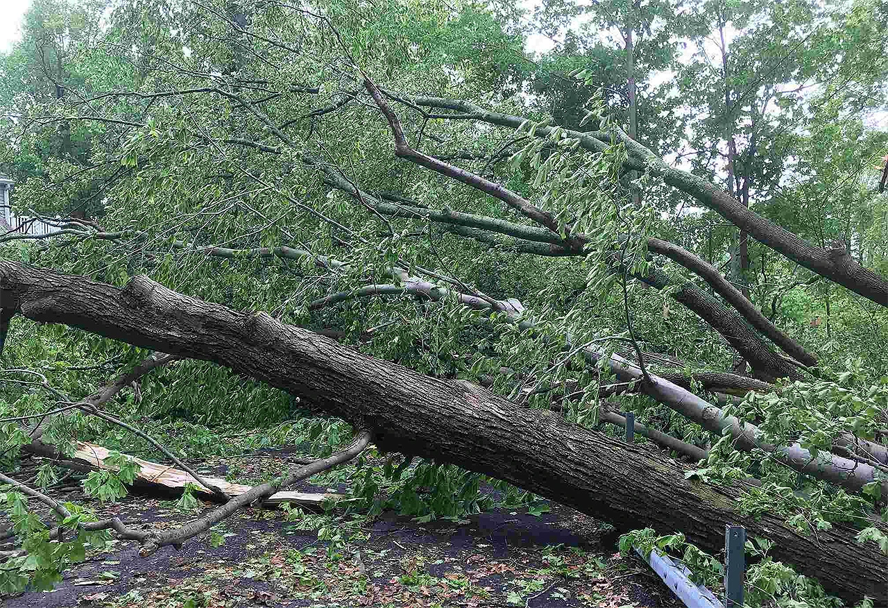 HNŽ: Nevrijeme rušilo stabla, stanovništvo ostalo bez struje
