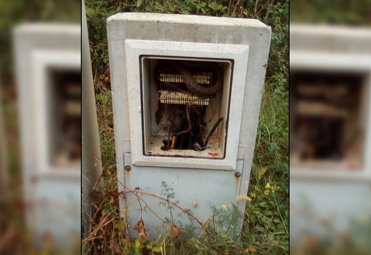 Neobičan podstanar u Mostaru