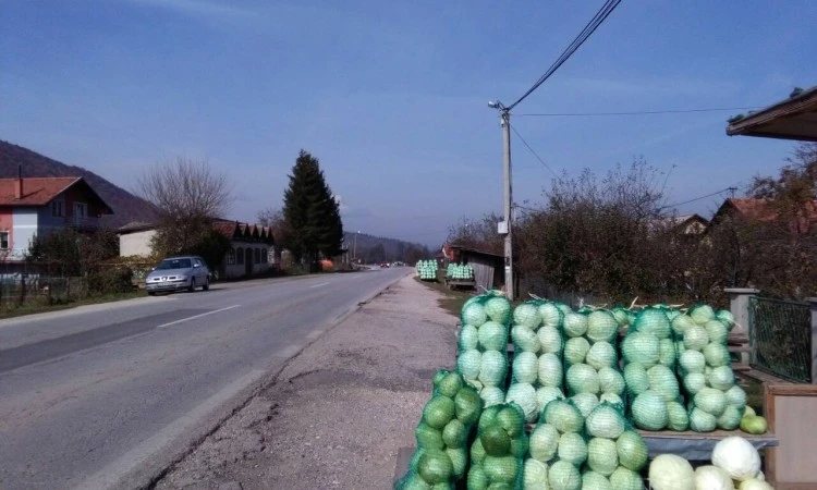 Proizvođači kupusa traže izgradnju tvornice