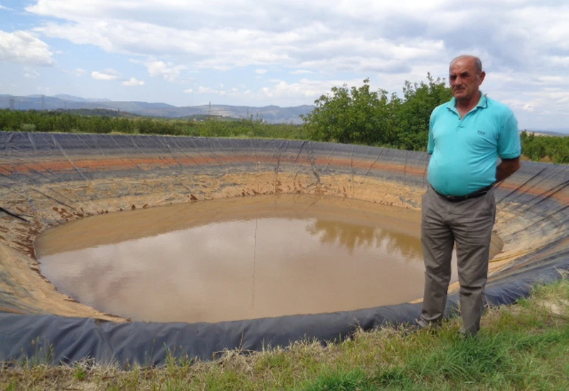 Čapljinac postao najveći proizvođač smokava u državi