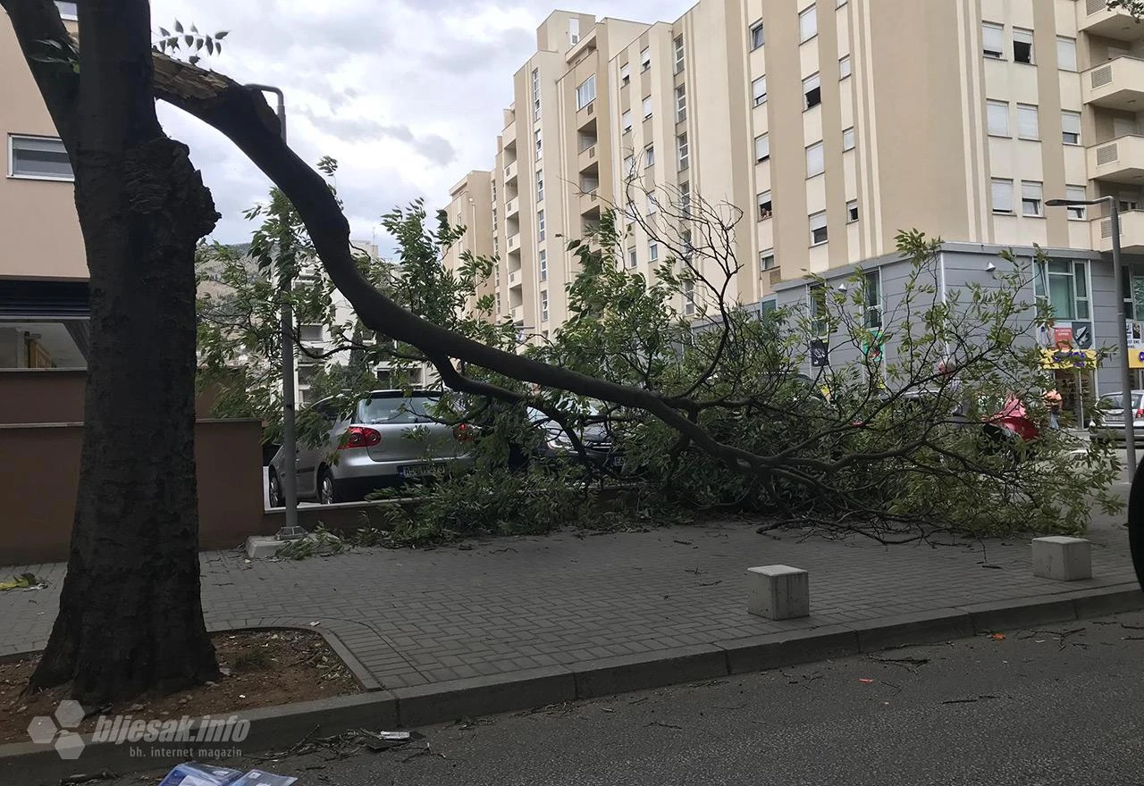 Vjetar srušio grane na automobile