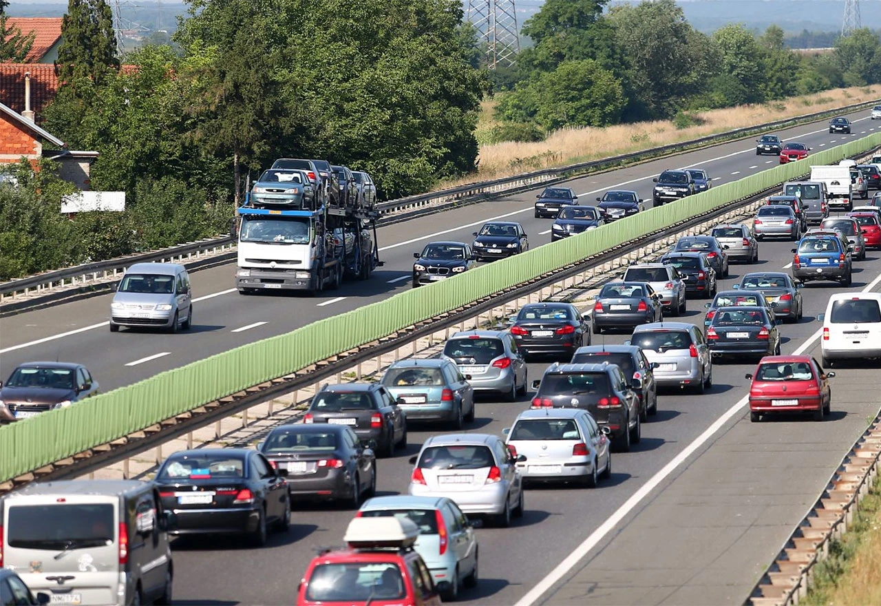 Osa uzrokovala prometnu nesreću i  kilometarske kolone