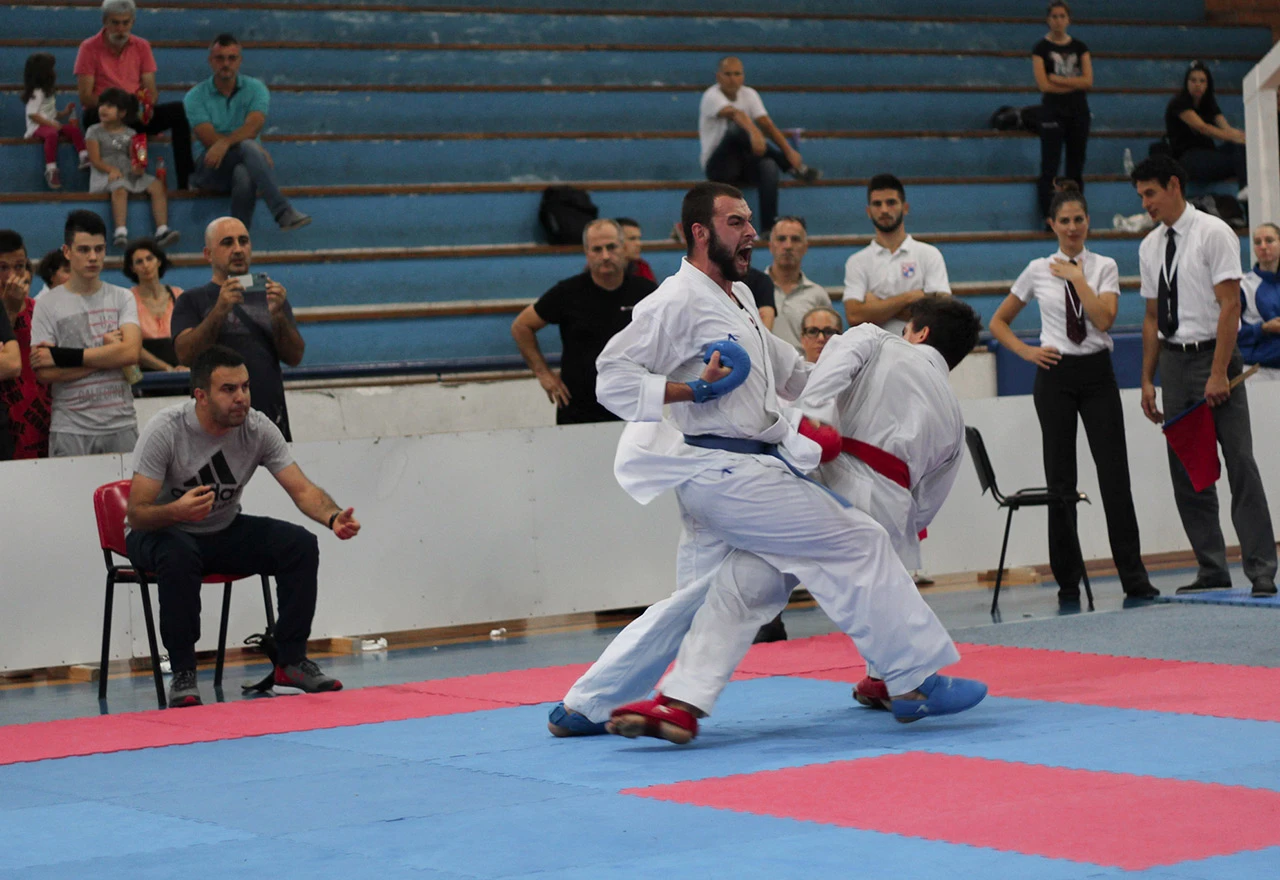 Karate turnir u sklopu Dana berbe grožđa